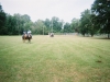 horse_riding_and_more_03